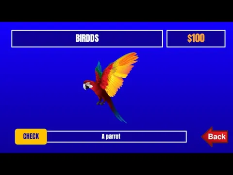 BIRDDS $100 A parrot CHECK