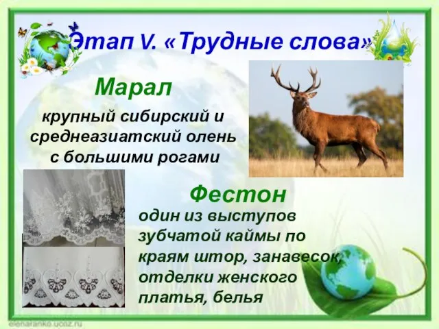 Этап V. «Трудные слова» Марал крупный сибирский и среднеазиатский олень с большими