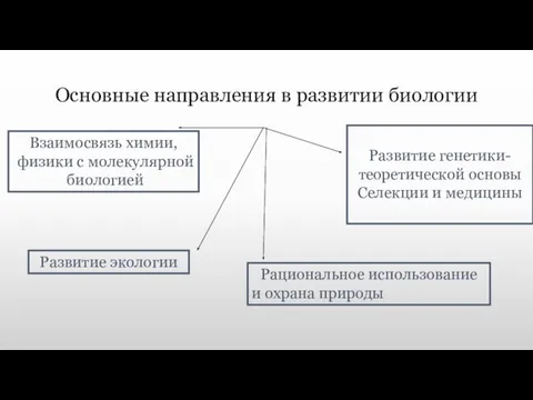 Основные направления в развитии биологии Взаимосвязь химии, физики с молекулярной биологией Развитие