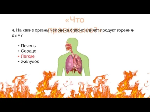 «Что правильно?» 4. На какие органы человека опасно влияет продукт горения-дым? Печень Сердце Легкие Желудок