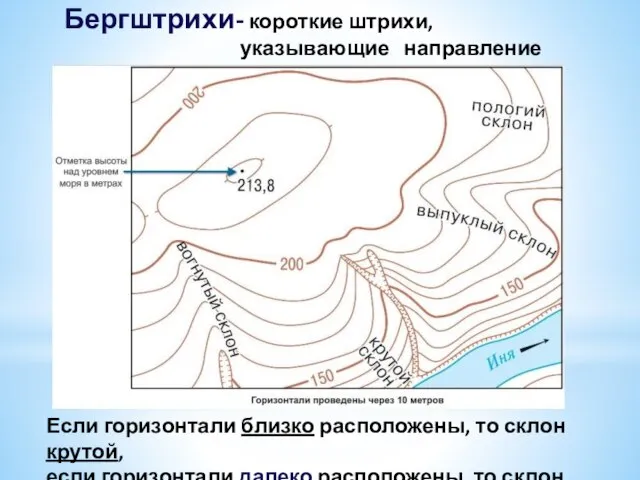 Бергштрихи- короткие штрихи, указывающие направление понижения склона Если горизонтали близко расположены, то