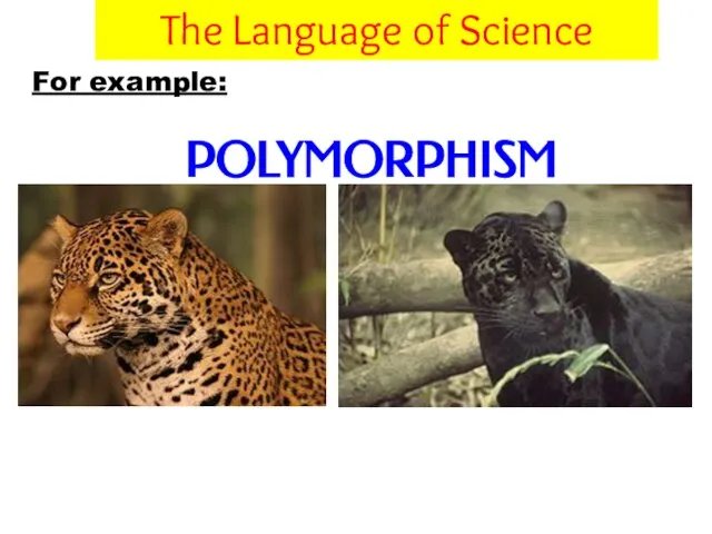 For example: POLYMORPHISM POLY and MORPH Many and Forms The Language of Science