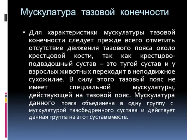 Мускулатура тазовой конечности Для характеристики мускулатуры тазовой конечности следует прежде всего отметить