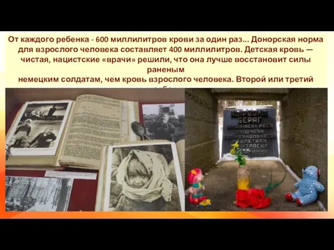 От каждого ребенка - 600 миллилитров крови за один раз... Донорская норма