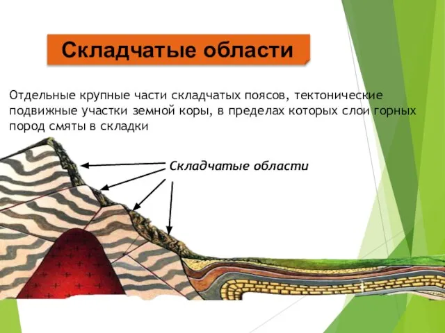 Складчатые области Отдельные крупные части складчатых поясов, тектонические подвижные участки земной коры,