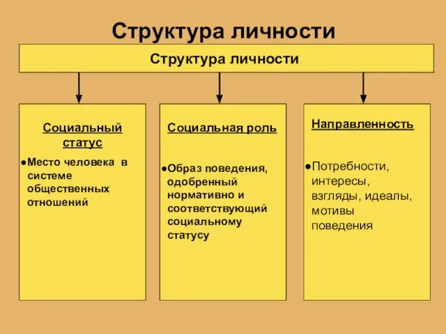 Структура личности Структура личности Социальный статус Место человека в системе общественных отношений