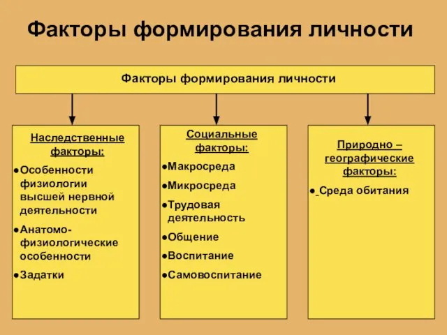 Факторы формирования личности Факторы формирования личности Наследственные факторы: Особенности физиологии высшей нервной