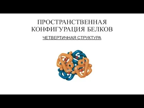 ПРОСТРАНСТВЕННАЯ КОНФИГУРАЦИЯ БЕЛКОВ ЧЕТВЕРТИЧНАЯ СТРУКТУРА