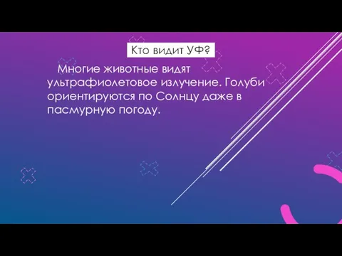 Кто видит УФ? Многие животные видят ультрафиолетовое излучение. Голуби ориентируются по Солнцу даже в пасмурную погоду.