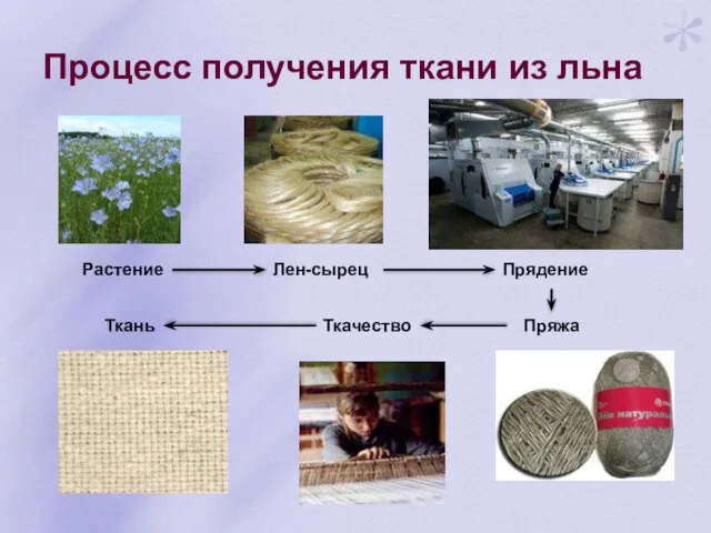 Процесс получения ткани из льна Растение Лен-сырец Прядение Пряжа Ткачество Ткань