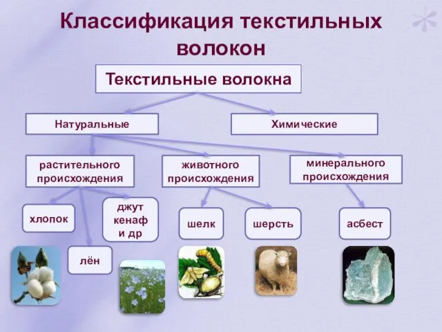 Классификация текстильных волокон Химические Текстильные волокна Натуральные растительного происхождения животного происхождения минерального