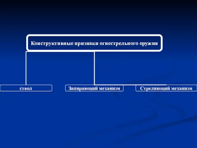 Конструктивные признаки огнестрельного оружия Стреляющий механизм ствол Запирающий механизм