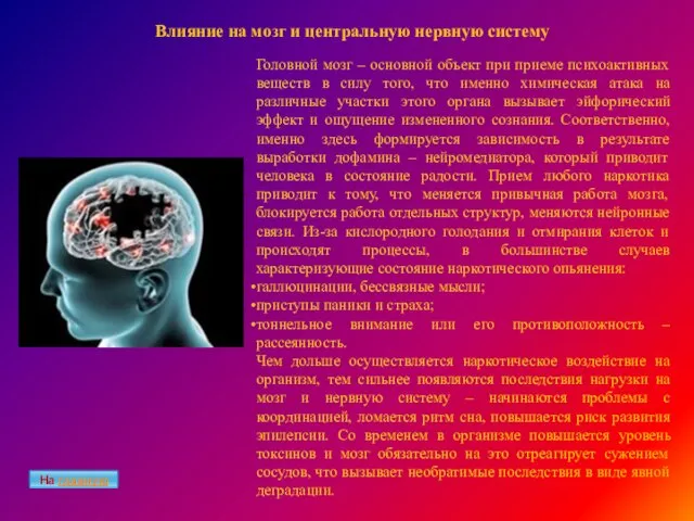 Влияние на мозг и центральную нервную систему Головной мозг – основной объект