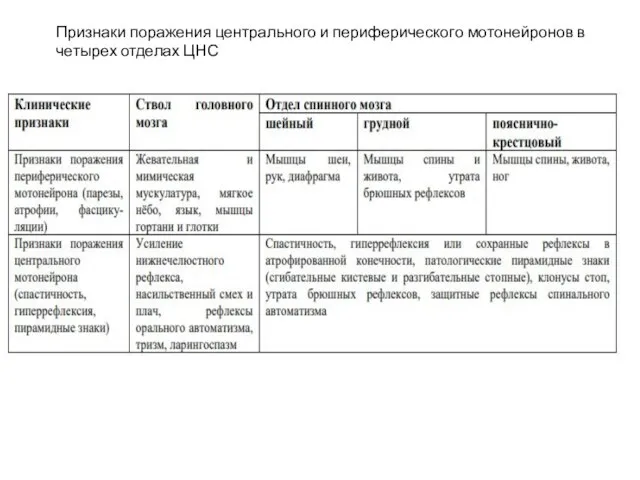 Признаки поражения центрального и периферического мотонейронов в четырех отделах ЦНС