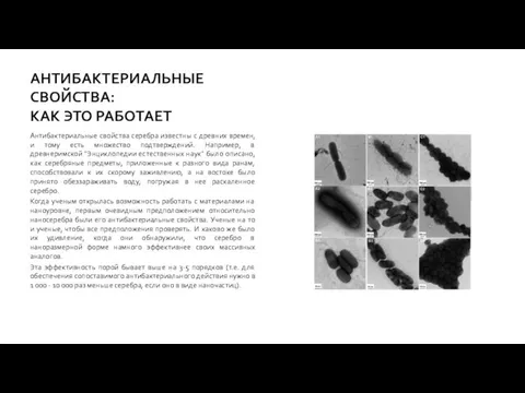 АНТИБАКТЕРИАЛЬНЫЕ СВОЙСТВА: КАК ЭТО РАБОТАЕТ Антибактериальные свойства серебра известны с древних времен,