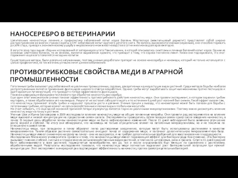 НАНОСЕРЕБРО В ВЕТЕРИНАРИИ Целительные наночастицы: лечение и профилактика заболеваний копыт коров Болезнь