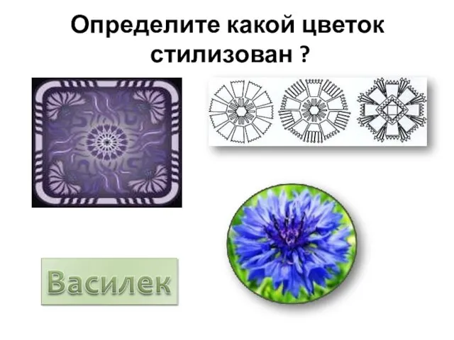 Определите какой цветок стилизован ?