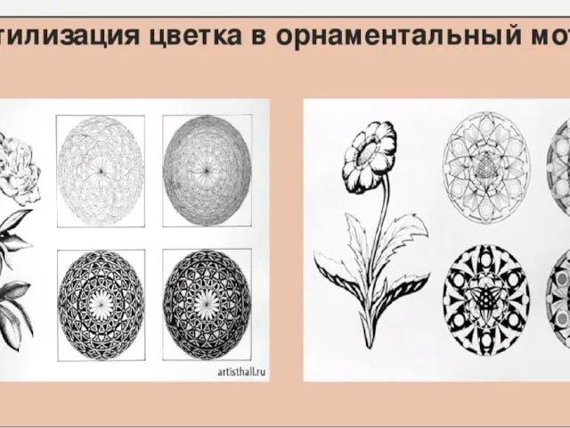 Изучите растение, прочувствуйте его характерную форму- чем это растение отличается от других.