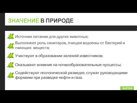 П ЗНАЧЕНИЕ В ПРИРОДЕ КузГСХА Источник питания для других животных; Выполняют роль