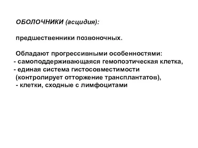 ОБОЛОЧНИКИ (асцидия): предшественники позвоночных. Обладают прогрессивными особенностями: самоподдерживающаяся гемопоэтическая клетка, единая система