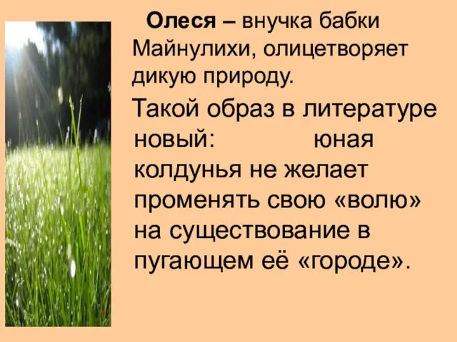 Олеся – внучка бабки Майнулихи, олицетворяет дикую природу. Такой образ в литературе