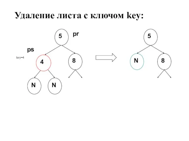 Удаление листа с ключом key: 8 5 8 N N N pr 4 5 key=4 ps