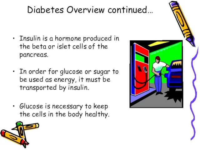 Diabetes Overview continued… Insulin is a hormone produced in the beta or