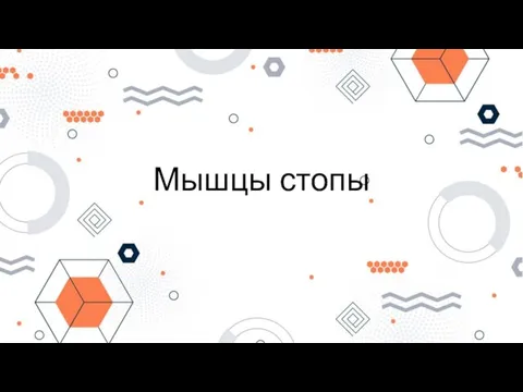 Мышцы стопы