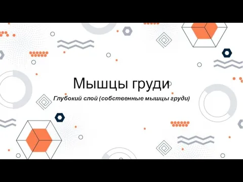 Мышцы груди Глубокий слой (собственные мышцы груди)