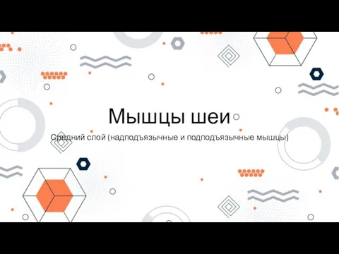 Мышцы шеи Средний слой (надподъязычные и подподъязычные мышцы)