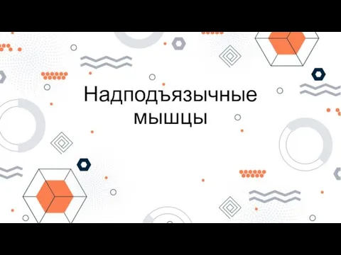 Надподъязычные мышцы