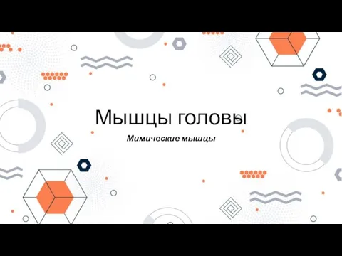 Мышцы головы Мимические мышцы