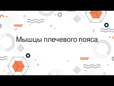 Мышцы плечевого пояса