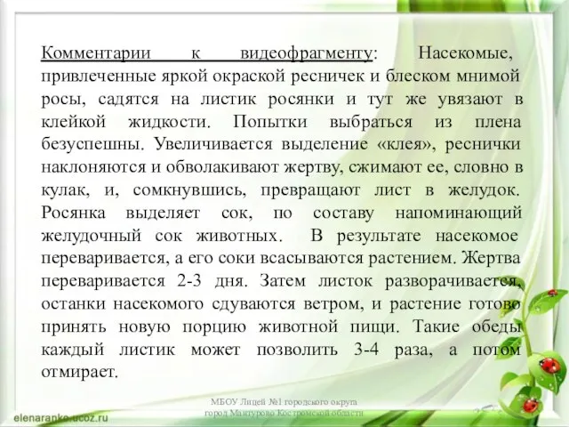 МБОУ Лицей №1 городского округа город Мантурово Костромской области Комментарии к видеофрагменту: