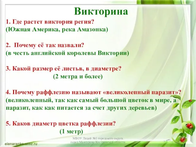 Викторина 1. Где растет виктория регия? (Южная Америка, река Амазонка) 2. Почему