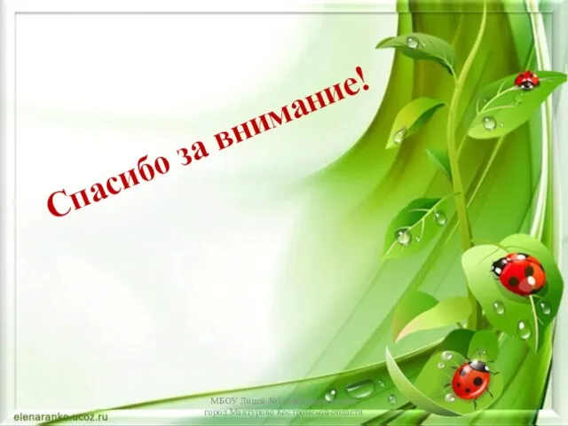 Спасибо за внимание! МБОУ Лицей №1 городского округа город Мантурово Костромской области