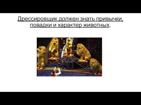 Дрессировщик должен знать привычки, повадки и характер животных.