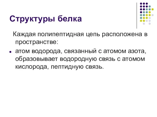 Структуры белка Каждая полипептидная цепь расположена в пространстве: атом водорода, связанный с