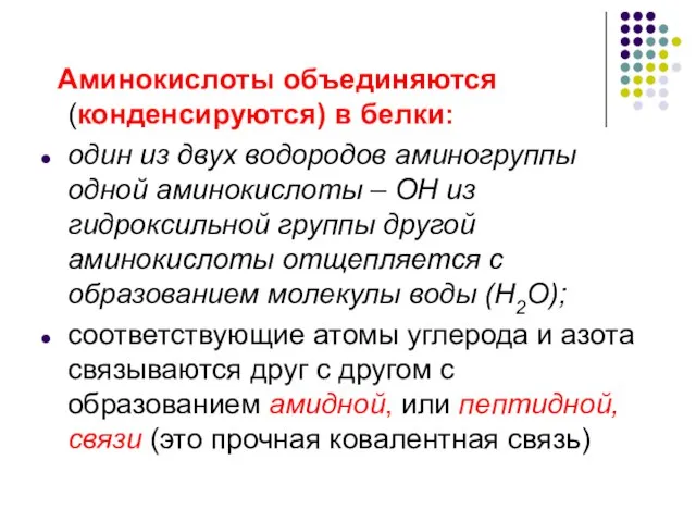 Аминокислоты объединяются (конденсируются) в белки: один из двух водородов аминогруппы одной аминокислоты