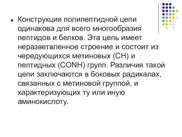 Конструкция полипептидной цепи одинакова для всего многообразия пептидов и белков. Эта цепь