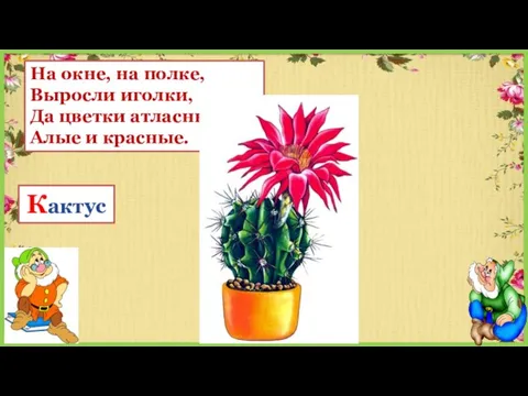 На окне, на полке, Выросли иголки, Да цветки атласные — Алые и красные. Кактус