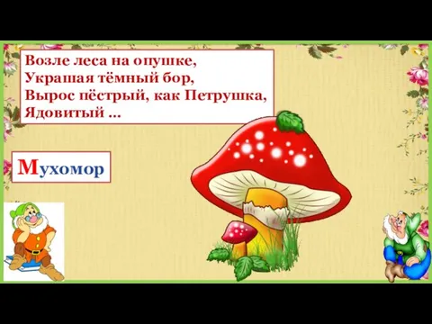 Возле леса на опушке, Украшая тёмный бор, Вырос пёстрый, как Петрушка, Ядовитый … Мухомор