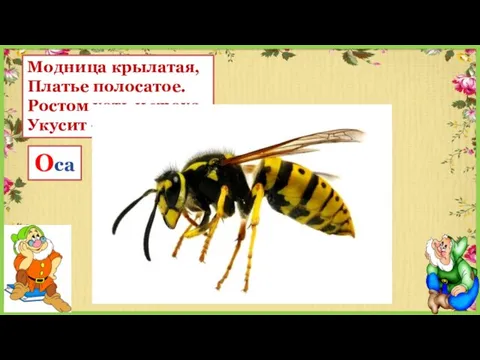 Модница крылатая, Платье полосатое. Ростом хоть и кроха, Укусит - будет плохо Оса