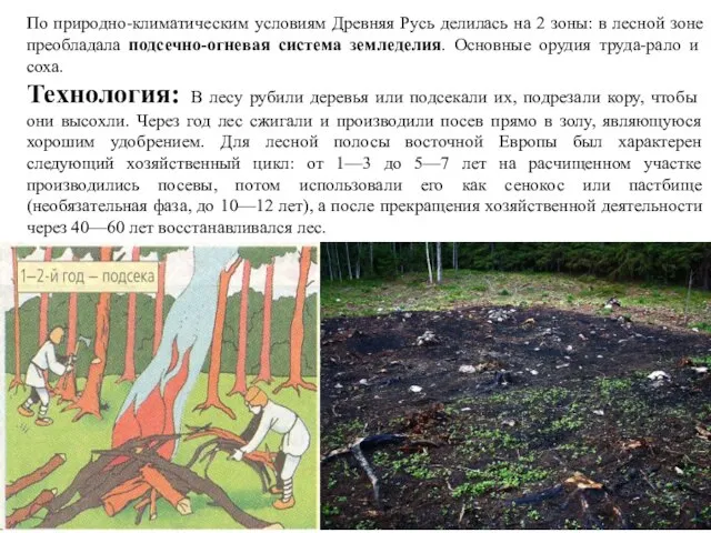 По природно-климатическим условиям Древняя Русь делилась на 2 зоны: в лесной зоне