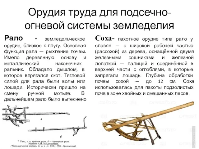 Орудия труда для подсечно-огневой системы земледелия Рало - земледельческое орудие, близкое к