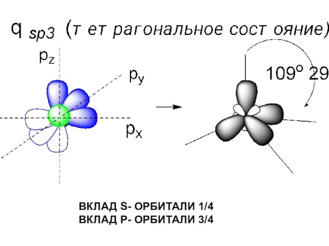 ВКЛАД S- ОРБИТАЛИ 1/4 ВКЛАД P- ОРБИТАЛИ 3/4