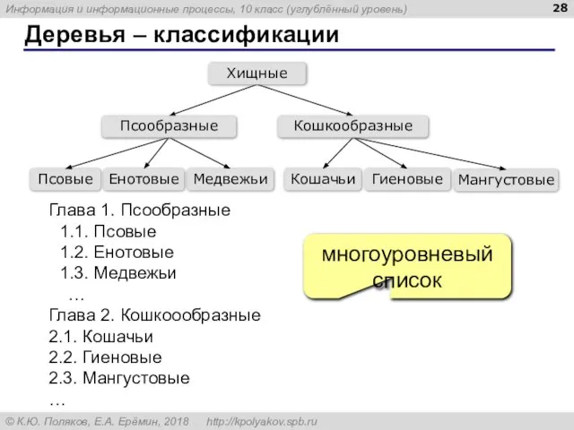 Деревья – классификации Глава 1. Псообразные 1.1. Псовые 1.2. Енотовые 1.3. Медвежьи