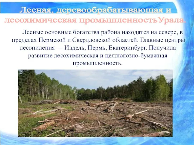 Лесные основные богатства района находятся на севере, в пределах Пермской и Свердловской