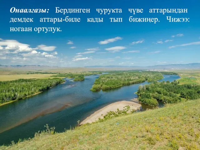 Онаалгазы: Бердинген чурукта чүве аттарындан демдек аттары-биле кады тып бижиңер. Чижээ: ногаан ортулук.