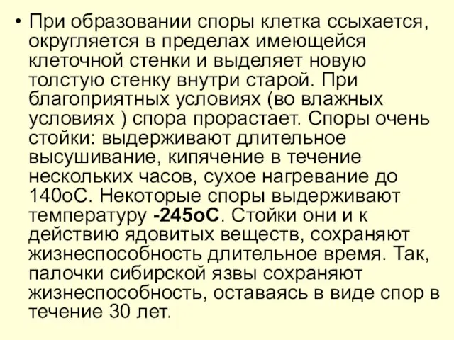 При образовании споры клетка ссыхается, округляется в пределах имеющейся клеточной стенки и